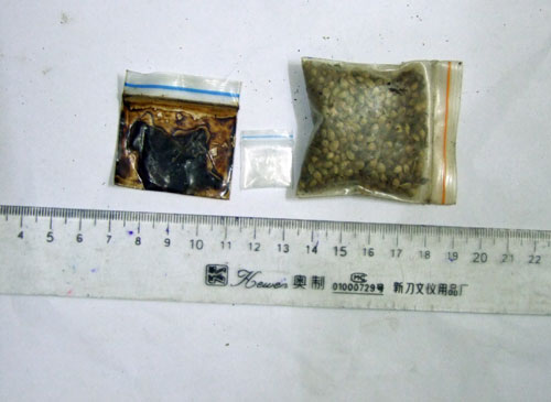 Số ma túy, lựu đạn thu giữ tại nhà cựu cán bộ thuế Hà Nội