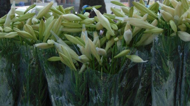 Tháng Tư, tháng của hoa loa kèn. Trong cái thời tiết se se lạnh, người ta kịp nhận ra sắc trắng trong veo, tinh khiết len lỏi khắp các con phố của các gánh hàng rong bán hoa loa kèn. Ảnh Lao Động