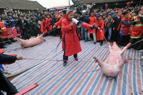Dân làng Ném Thượng phản đối đề xuất bỏ lễ hội chém lợn ở Bắc Ninh