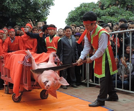 Cuộc tranh cãi xung quanh việc nên hay không bỏ lễ hội chém lợn ở Bắc Ninh đang diễn ra gay gắt