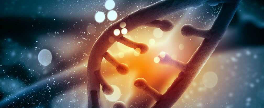 Theo di truyền học, gen xấu của bố mẹ có thể di truyền cho con cái thông qua DNA