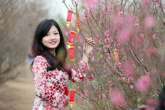 Vườn hoa Nhật Tân chắc chắn là địa điểm chụp ảnh Tết Âm lịch không thể bỏ qua
