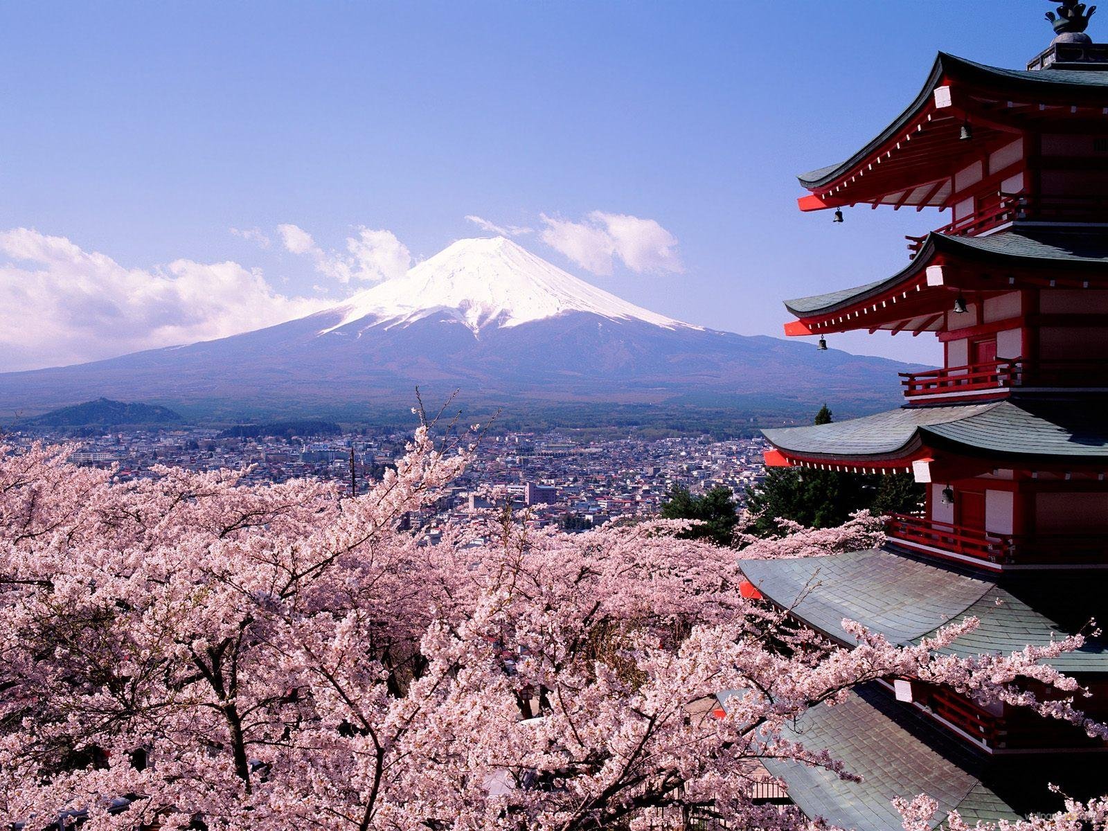 Thủ đô Nhật Bạn hứa hẹn đem lại nhiều trải nghiệm thú vị cho du khách