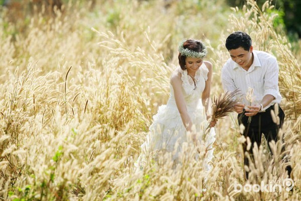 Cánh đồng cỏ lau vừa thơ mộng vừa đẹp mắt sẽ tạo nên những bức hình tuyệt đẹp cho cô dâu chú rể