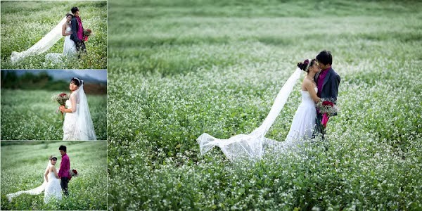 Trong số những địa điểm chụp ảnh cưới đẹp nổi tiếng ở miền Bắc không thể bỏ qua Mai Châu