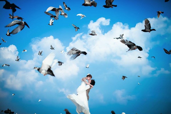 Khung cảnh đẹp mê hồn với đàn bồ câu đã khiến công viên Biển Đông trở thành địa điểm chụp ảnh cưới lý tưởng với nhiều cặp đôi
