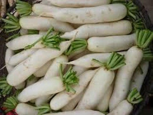 Củ cải trắng là một trong những loại thực phẩm bổ dưỡng chứa đủ các chất cần thiết để phục vụ cho sức khỏe con người. 