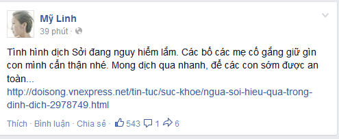 Trên trang Facebook cá nhân của mình,ca sĩ Mỹ Linh đã chia sẻ dòng tâm trạng đầy lo lắng