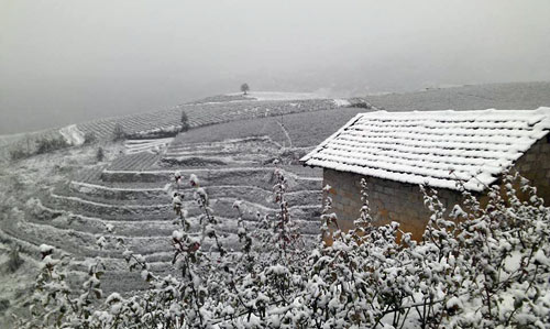 Tuyết rơi ở Sa Pa là một trong những tin tức mới cập nhật nổi bật hôm nay