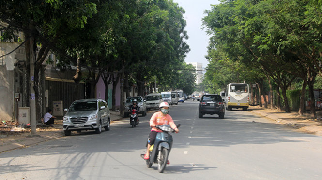 Hàng cây xanh trên đường Nguyễn Văn Hưởng, P.Thảo Điền, Q.2 (TP.HCM) dự kiến phải đốn bỏ để mở rộng đường