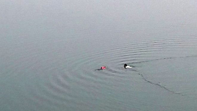 Cùng ngày mùng 3 Tết, ở Quảng Trị cũng có một vụ nhảy sông tự sát nhưng nạn nhân may mắn được cứu sống