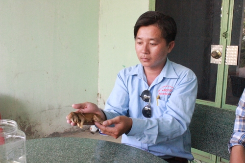 Vật nuôi lạ là một chú cho sở hữu vòi voi, miệng khỉ ở Đồng Nai