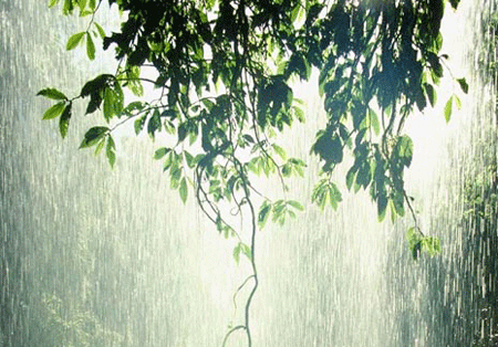 Dự báo thời tiết ngày mai 22/7/2015: Ngày nắng, chiều tối có mưa rào và dông 