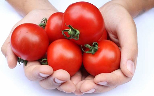 Cà chua có khả năng cải thiện và cân bằng lượng dầu tiết ra ở vùng da trên mặt