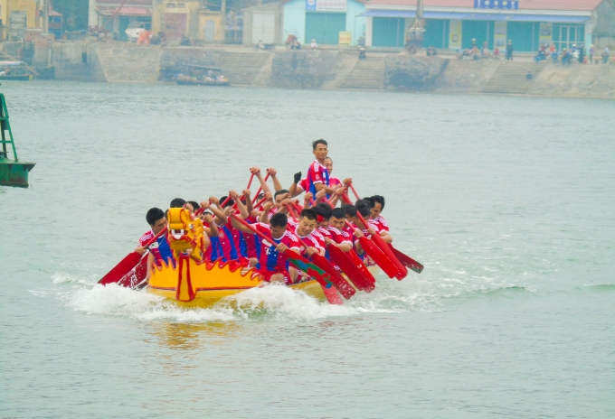 Lễ hội đua thuyền rồng trên biển Cát Bà nằm trong chuỗi sự kiện hoạt động Chào mừng kỷ niệm 57 năm ngày Bác Hồ về thăm làng Cá; Ngày truyền thống ngành Thủy sản Việt Nam 1/4 và khai mạc du lịch Cát Bà năm 2016.