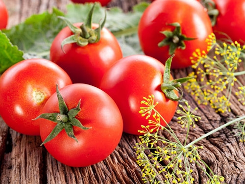 Ngoài tác dũng dưỡng trắng, cà chua còn có tác dụng làm dịu vùng da bị cháy nắng 
