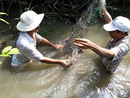  Ông Đinh Tam Hữu (bìa trái) cùng người nhà giăng lưới ở con rạch gần nhà với hy vọng bắt lại được ít cá trong số 5 tấn cá tra đã trôi theo dòng nước. Ảnh: Lao Động