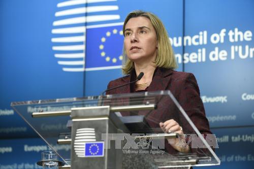  Hội nghị ngoại trưởng EU tập trung thảo luận tình hình chiến sự Syria và Trung Đông