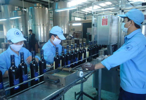 Thủ tướng Chính phủ yêu cầu tăng cường quản lý sản phẩm rượu. Ảnh minh họa 