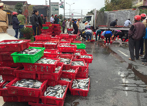  2 tấn cá đã được người dân xếp gọn gàng vào khay nhựa. Ảnh: Vnexpress