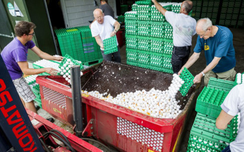  Trứng bẩn bị loại trước khi đến tay người tiêu dùng EU. Ảnh: AFP