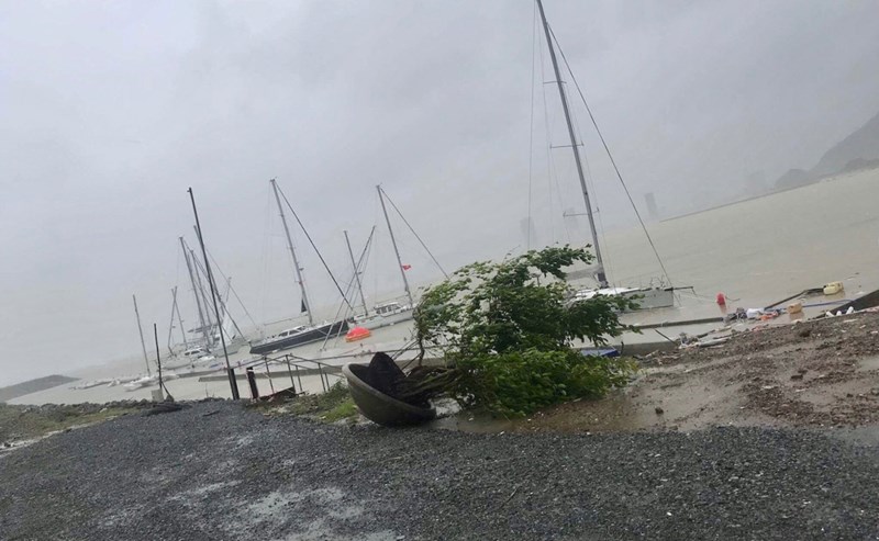  Ảnh hưởng của cơn bão số 12, nhiều thuyền du lịch bị chìm ở bến. Ảnh: Pháp luật TP. HCM