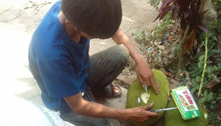 Trái cây ép chín bằng hóa chất tại cơ sở ở Đắk Lắk