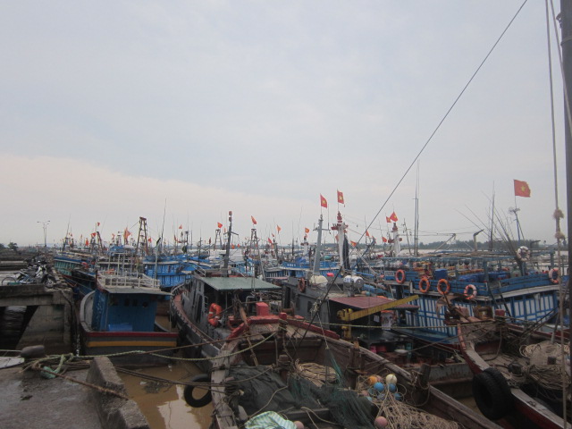 Bão số 7: 7.000 tàu thuyền ở Thanh Hóa vào nơi trú ẩn an toàn