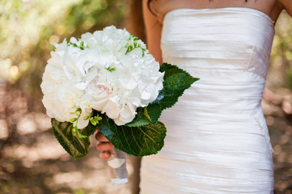 Nhiều ncô dâu chọn riêng cẩm tú cầu làm hoa chủ đạo trong bó hoa cầm tay trong lễ cưới. Ảnh minh họa