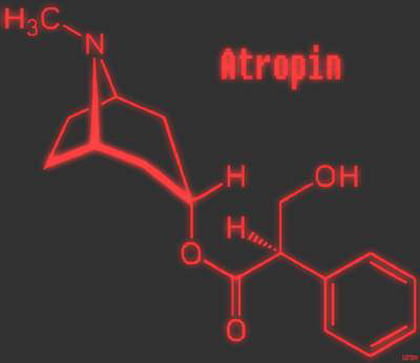 Cấu tạo phân tử của atropin. Ảnh: Sức khỏe & đời sống