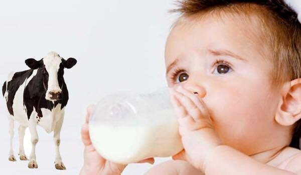 Trẻ còn nhỏ (0 - 3 tuổi), nếu sử dụng sữa công thức quá ngọt hoặc ăn bánh kẹo thường xuyên sẽ gây “nghiện”. Ảnh minh họa