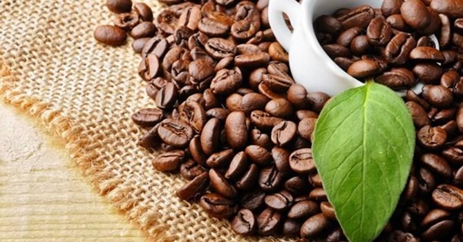 Giá cà phê: Nghịch lý giá ngoài nước tăng, trong nước giảm