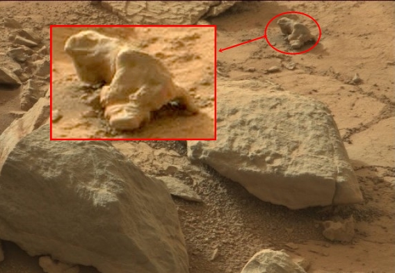 Con kỳ nhông trên sao Hỏa cũng chỉ là hòn đá có hình dạng kỳ quái