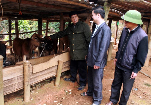 Chăn nuôi gia súc ở Hà Giang
