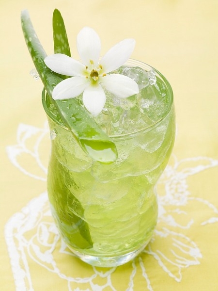 giảm cân hiệu quả không ngờ từ nha đam