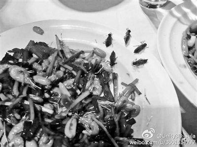 Bức ảnh cô Lạp chụp đĩa thức ăn của nhà hàng có côn trùng giống 
