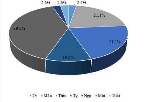 SEO tuổi ngọ, doanh nhân tuổi ngọ , doanh nghiệp tư nhân, kinh tế việt nam, ngân sách