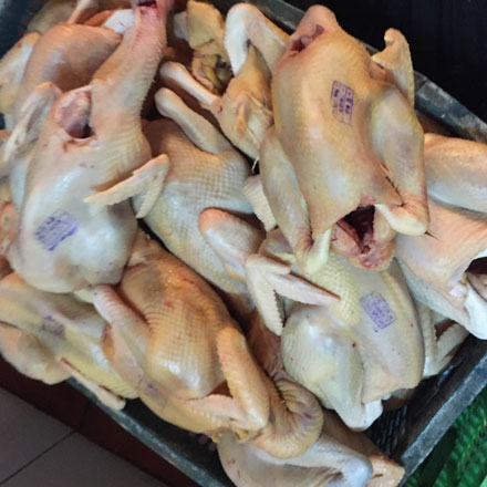 Những con gà căng mọng vì thịt bơm nước này sẽ được bày bán cho khách hàng