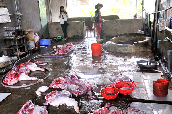  Theo báo cáo của Ngân hàng Thế giới, ở Việt nam có 76% heo giết mổ ở cơ sở nhỏ lẻ kém vệ sinh. Ảnh minh họa