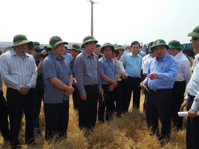 Phó Thủ tướng Nguyễn Xuân Phúc chỉ đạo ứng trước 2.000 tấn gạo cứu đói đồng bào bị hạn hán