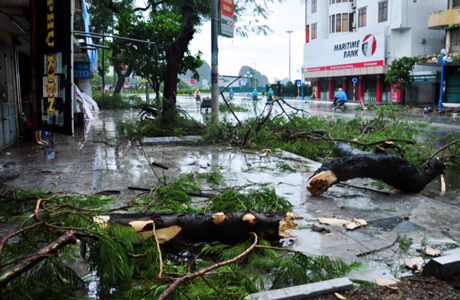 Bão sổ 3 làm đổ nhiều cây xanh ở Quảng Ninh gây khó khăn cho việc đi lại