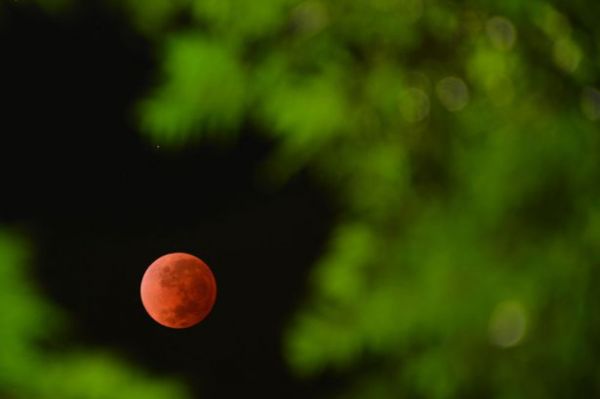 Người dân sẽ có cơ hội được chiêm ngưỡng hiện tượng mặt trăng máu ở Việt Nam
