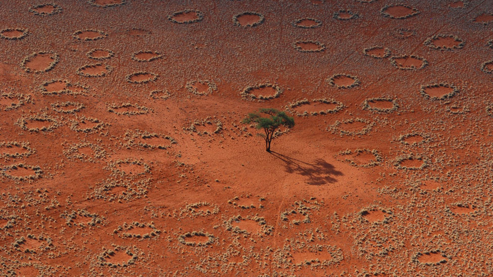 Các vòng tròn trên sa mạc Namibia vẫn còn là một hiện tượng bí ẩn đối với nhân loại