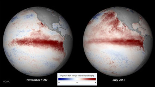 Dòng biển ấm (màu đỏ) quanh đường xích đạo do hiện tượng El Nino gây nên thời tiết bất thường. 