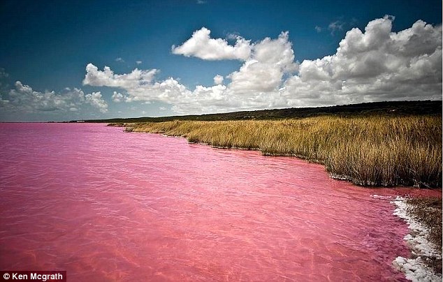 Hồ nước chuyển hồng là hiện tượng lạ khiến mọi người tò mò