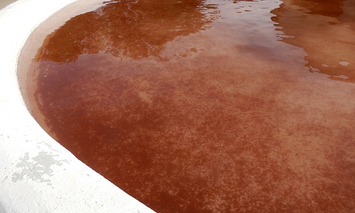 Nước trong hồ đột nhiên nhuốm màu đỏ máu là một hiện tượng lạ hiếm gặp. Ảnh: Live Science