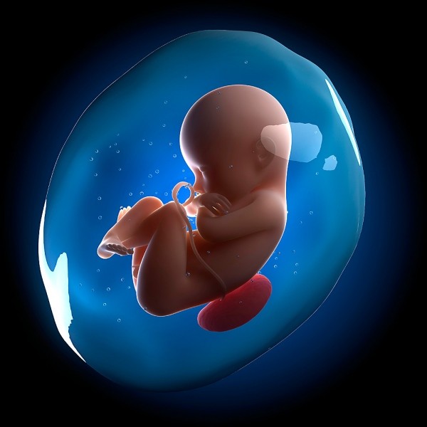 Hiện tượng bí ẩn khó lý giải của ca sinh em bé nằm trong bọc nước ối