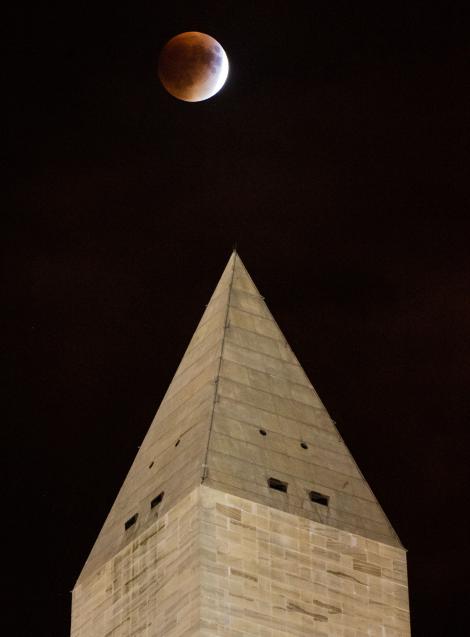Bức ảnh ghi lại khoảnh khắc siêu Mặt Trăng máu xuất hiện phía trên Đài tưởng niệm Washington. Đây là hiện tượng thiên văn hiếm có khi nguyệt thực toàn phần và siêu trăng (Mặt Trăng đạt khoảng cách gần Trái Đất nhất) diễn ra đồng thời. Ảnh Aubrey Gemignani, NASA