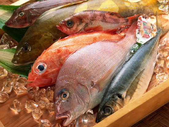 Con người khó tránh khỏi các hóa chất độc hại trong cá khi mà môi trường ngày càng ô nhiễm
