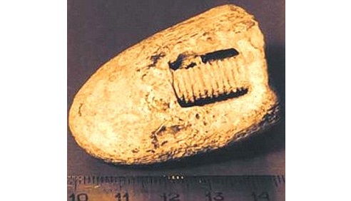 Hóa thạch cổ đại mang dáng dấp hình ốc vít ẩn mình trong khối đá